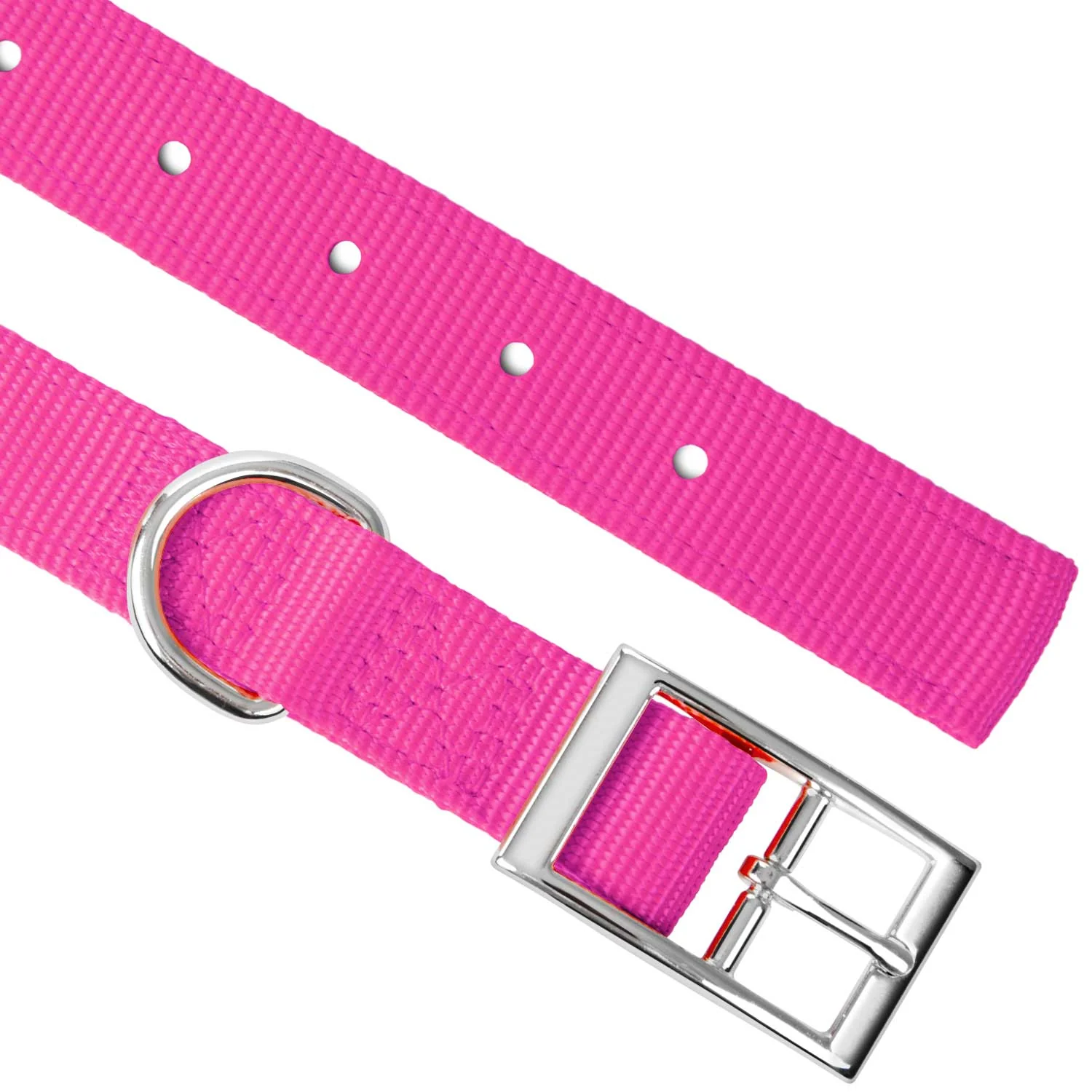 Jeffers Solid Web Nylon Dog Collar - Image 45