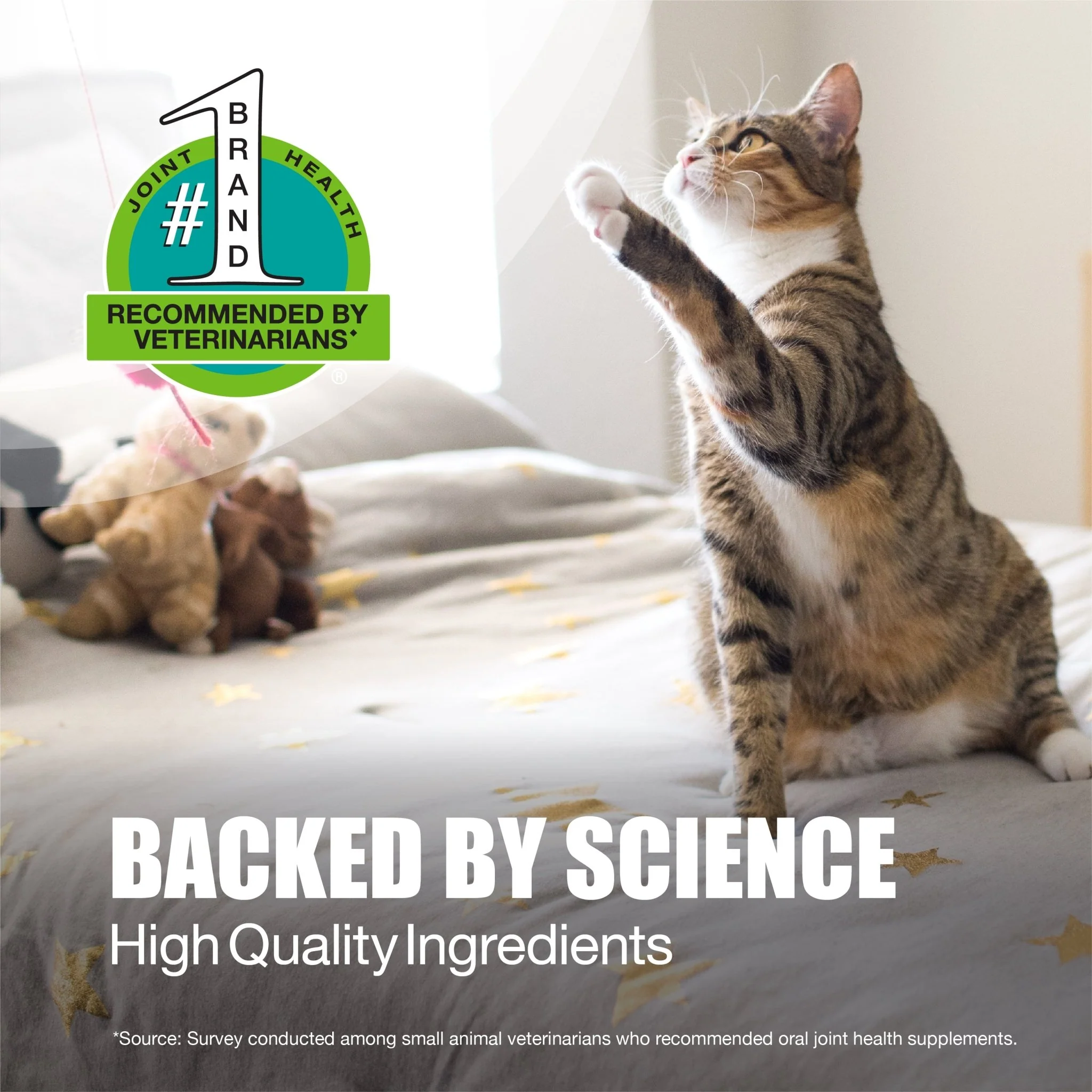 Nutramax Dasuquin Joint Health Supplement for Cats, Capsules - Image 4