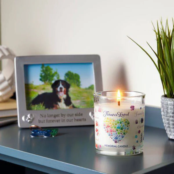 Pet House Pet Odor Candle – Pet Odor Eliminating, Non-Toxic, Long-Lasting, Hand-Poured in USA - Image 24