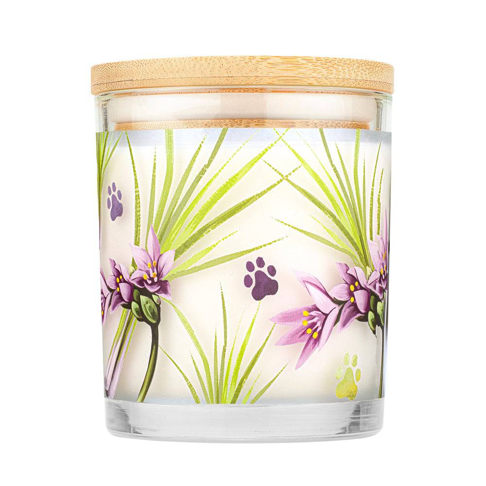 Pet House Pet Odor Candle – Pet Odor Eliminating, Non-Toxic, Long-Lasting, Hand-Poured in USA - Image 79