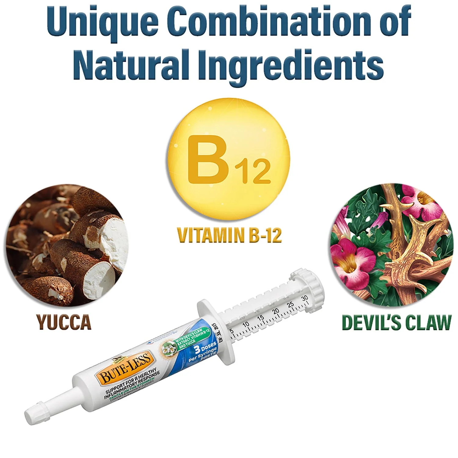 Absorbine BUTE-LESS® Natural Pain Relief Paste for Horses, 3 Dose Syringe - Image 3