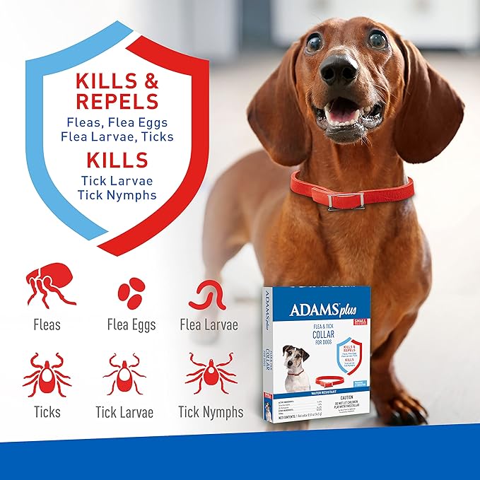 Adams Plus Dog Flea & Tick Collar - Image 3