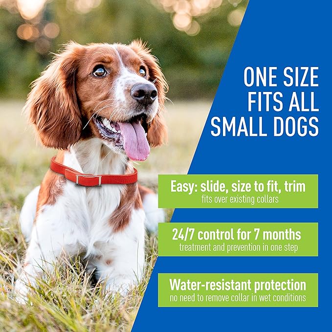 Adams Plus Dog Flea & Tick Collar - Image 4