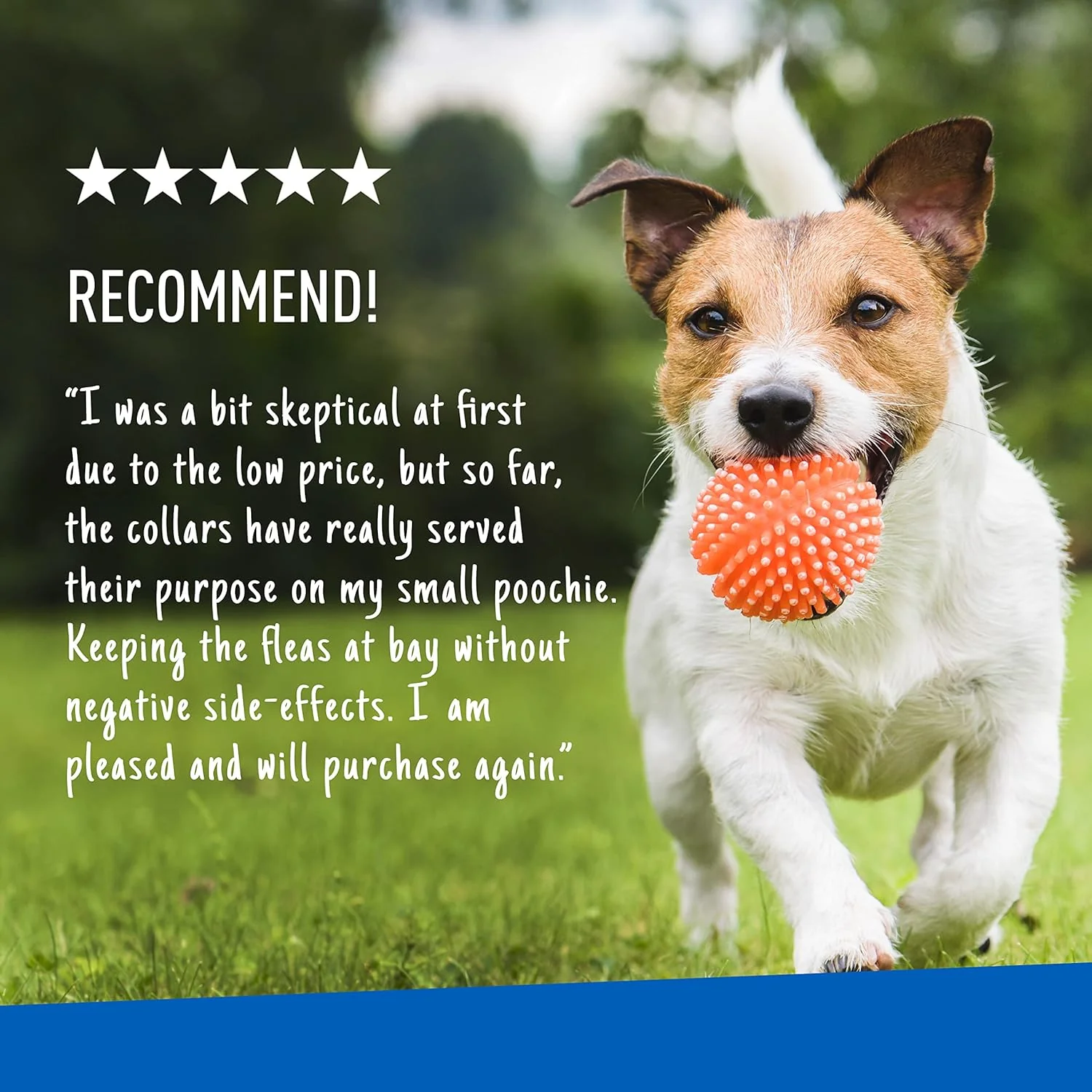 Adams Plus Dog Flea & Tick Collar - Image 9