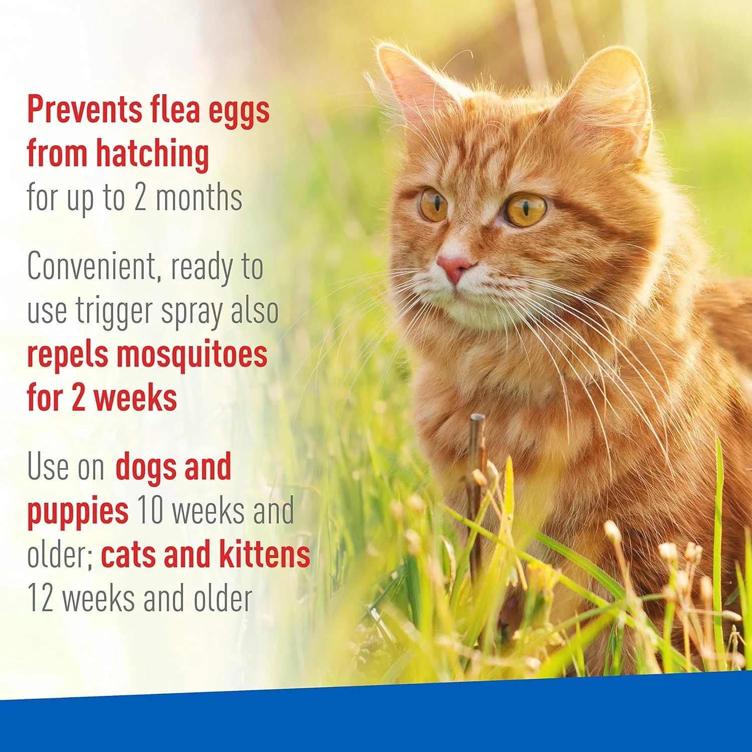 Adams Plus Flea & Tick Spray for Dogs & Cats - Image 4