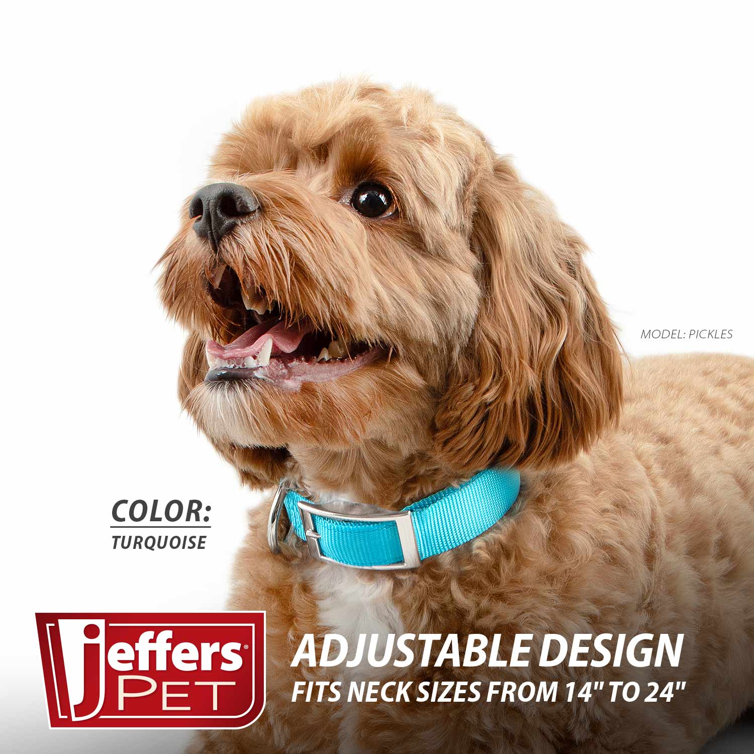 Jeffers Adjustable Nylon Dog Collar, 1"W x 14"-24"L - Image 3