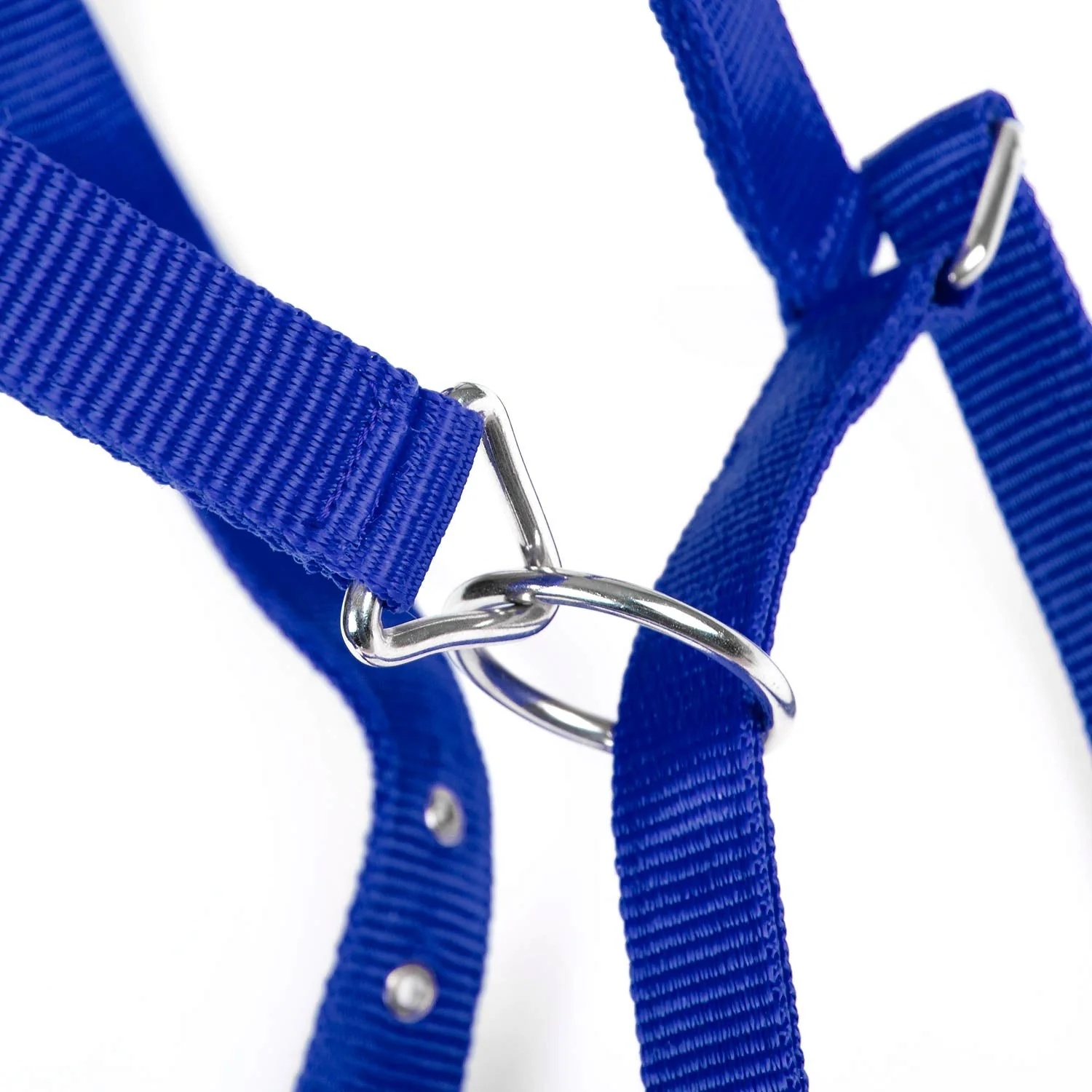 Jeffers Adjustable Nylon Full Size Horse Halter - Image 12