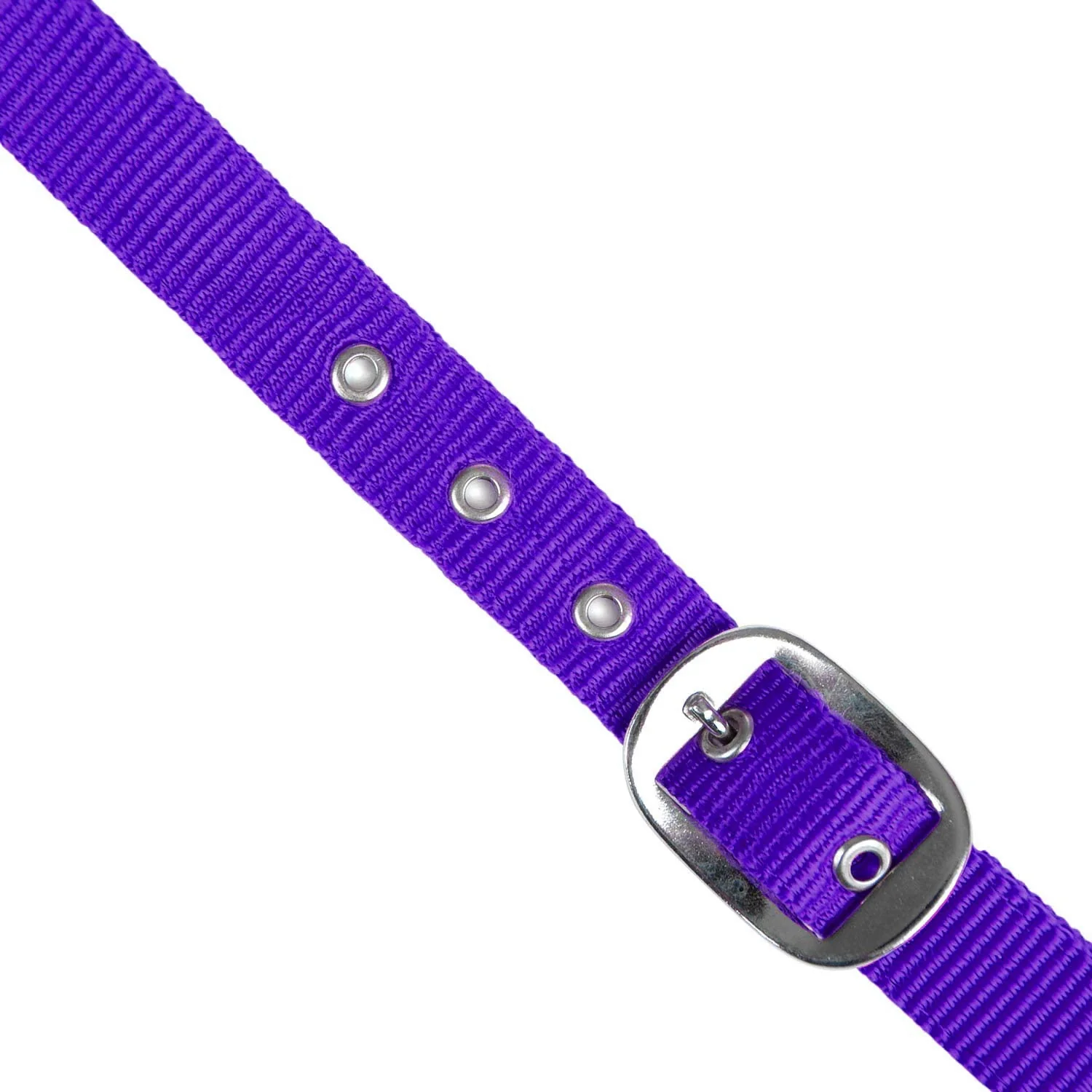 Jeffers Adjustable Nylon Full Size Horse Halter - Image 17