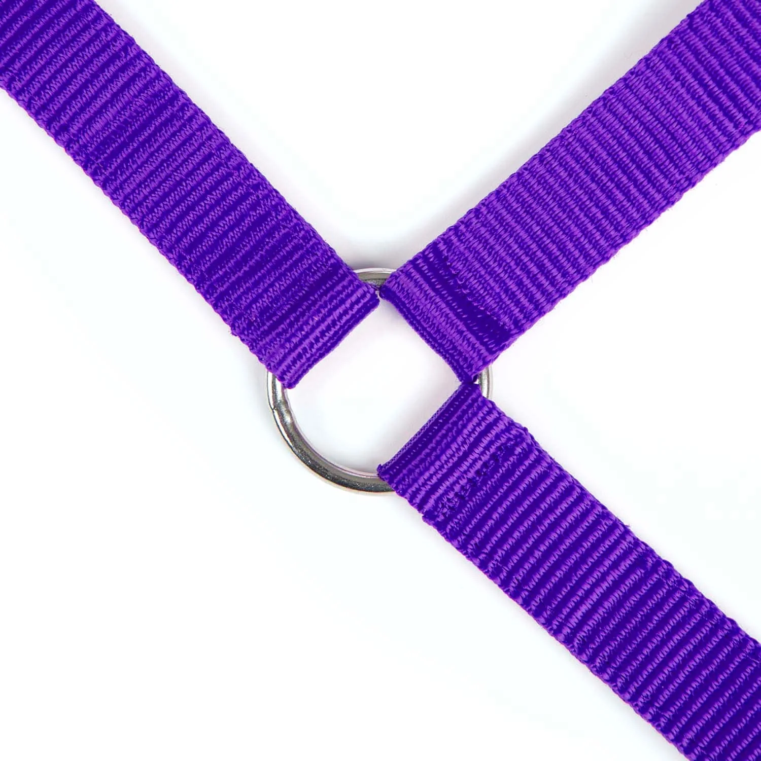 Jeffers Adjustable Nylon Full Size Horse Halter - Image 18
