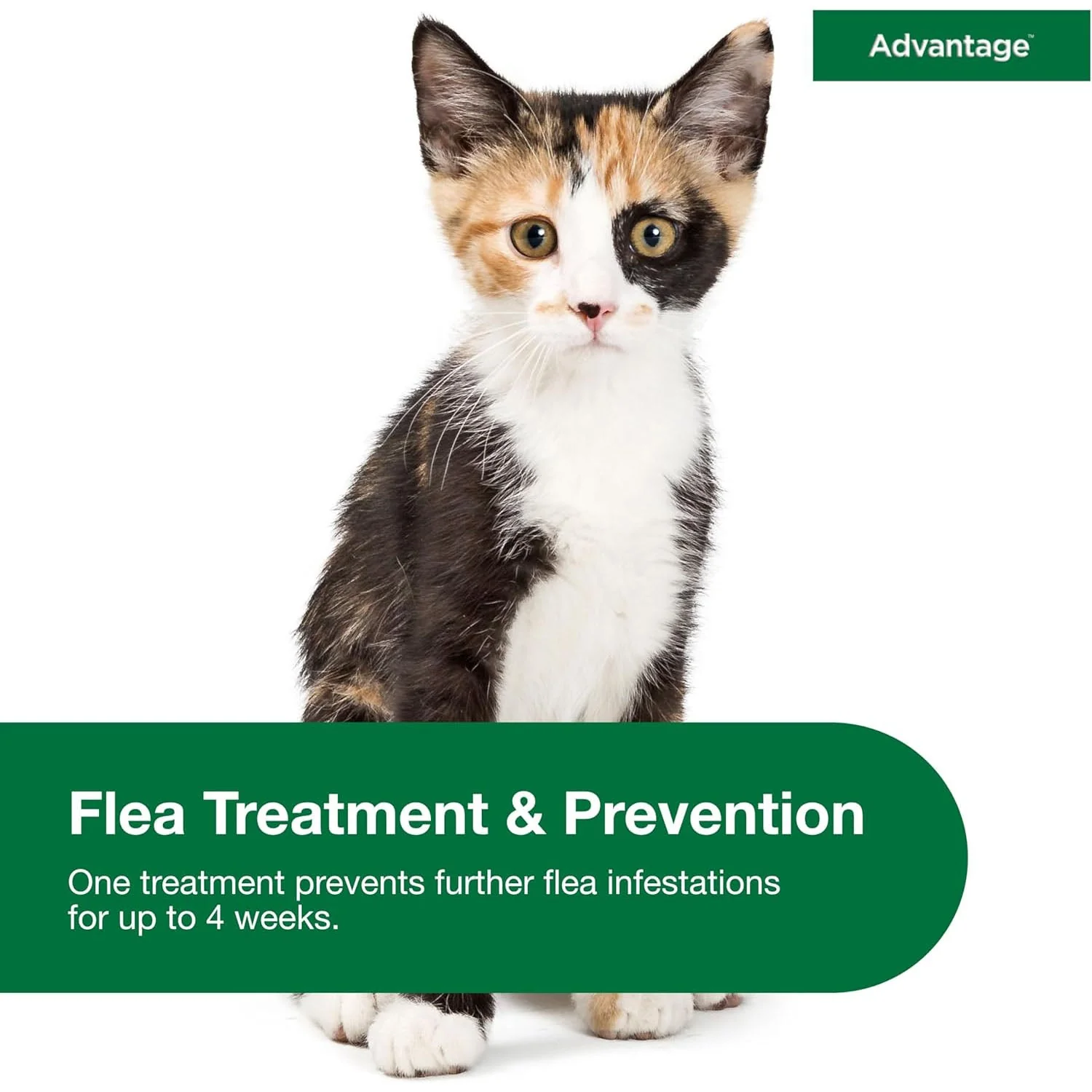 Advantage Topical Flea Protection for Cats, 2 Pack - Image 12