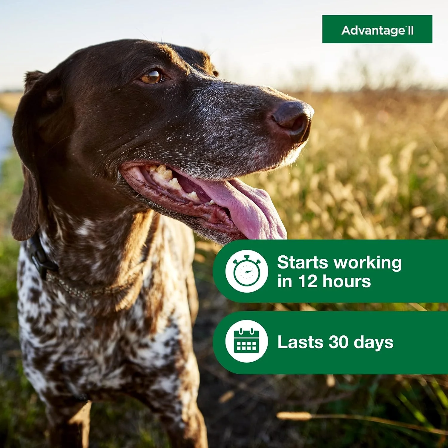 Advantage II Topical Flea & Tick for Dogs - Image 13