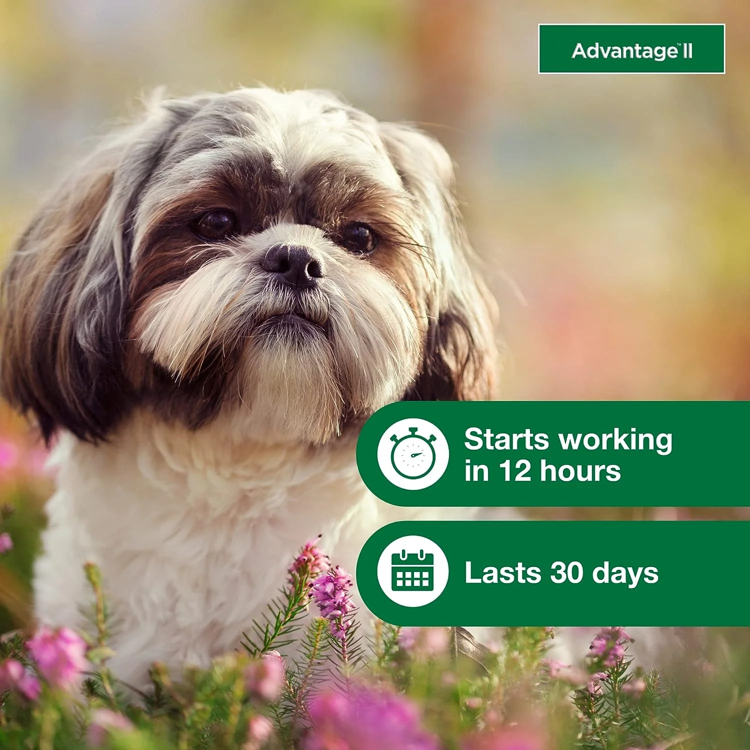 Advantage II Topical Flea & Tick for Dogs - Image 6