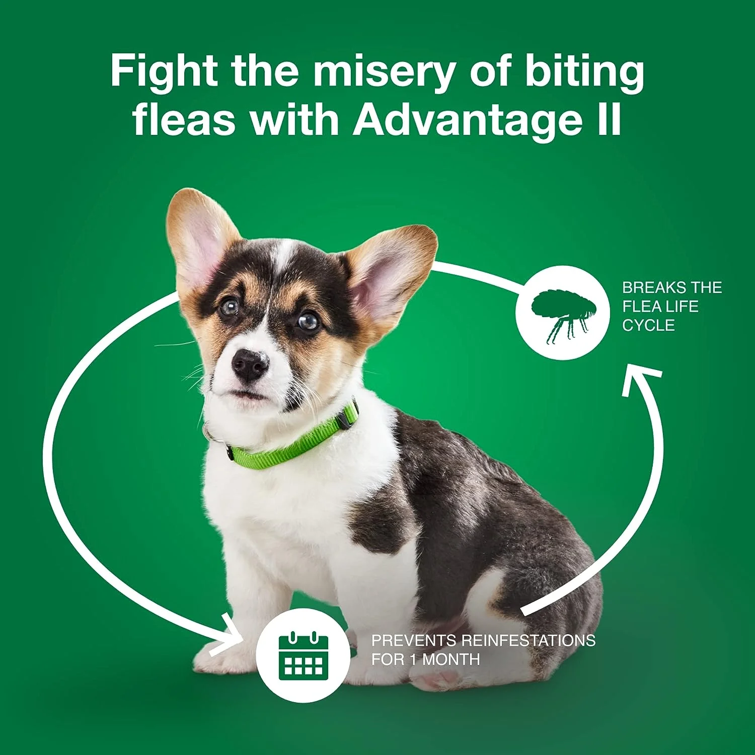 Advantage II Topical Flea & Tick for Dogs - Image 7