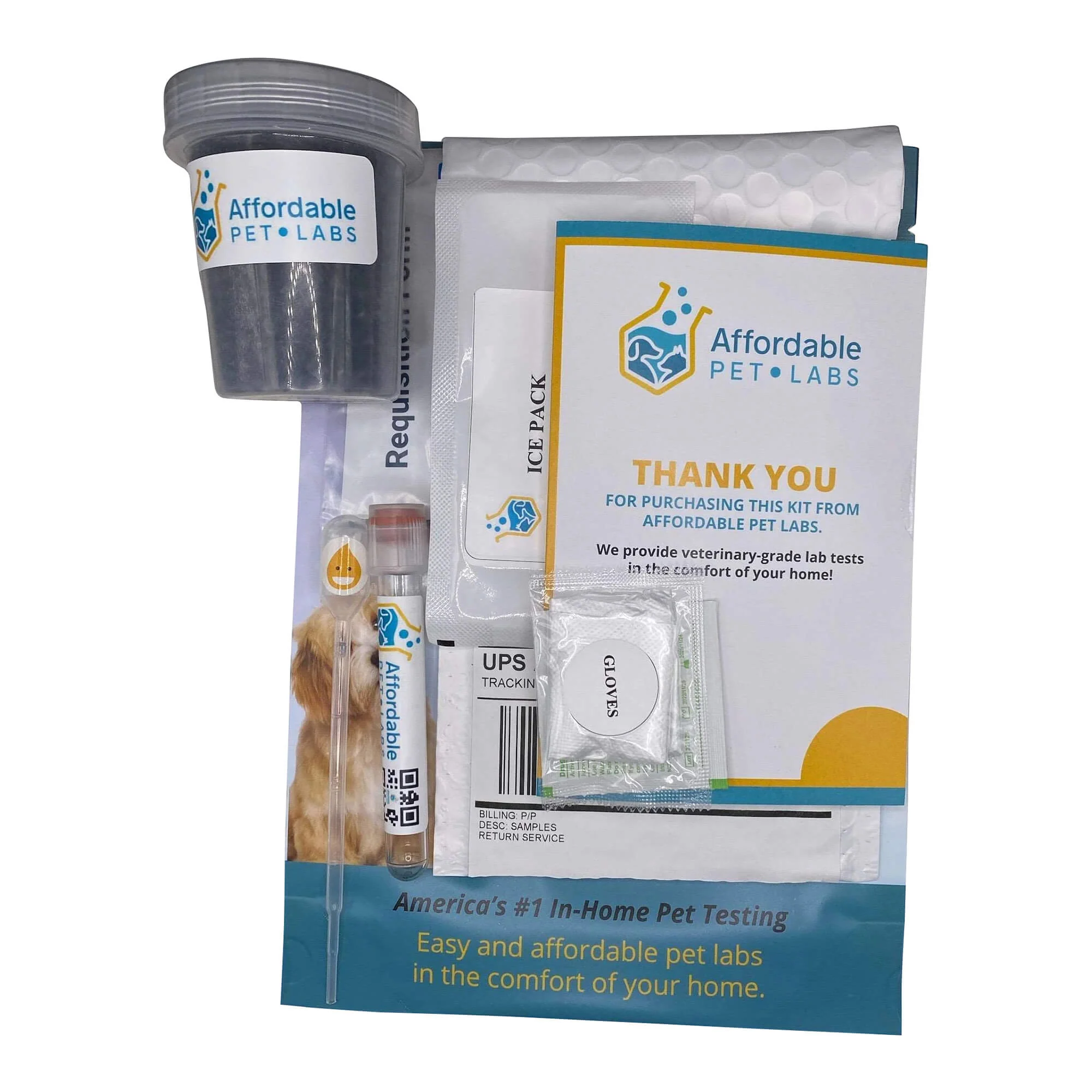 Affordable Pet Labs - Combo Complete Urinalysis & Fecal Test For Cats, Easy Home Kit - Image 4
