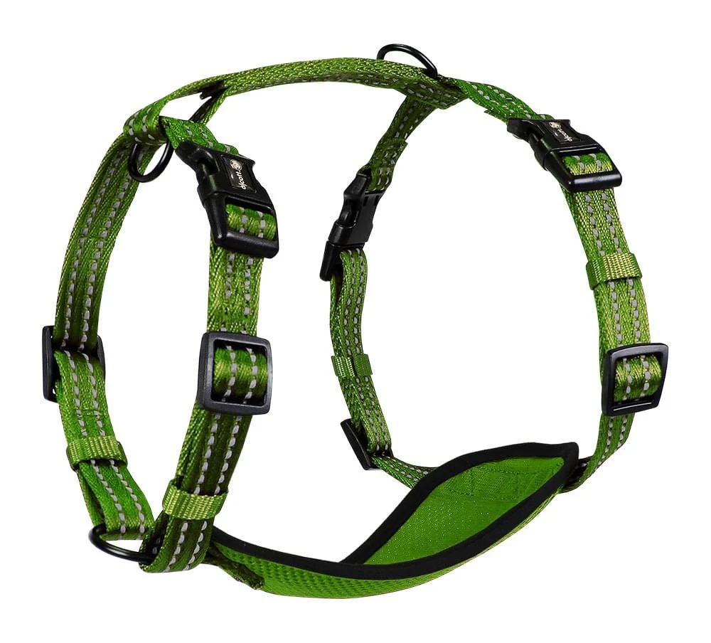 alcott Adventure Harness for Dogs - Image 7