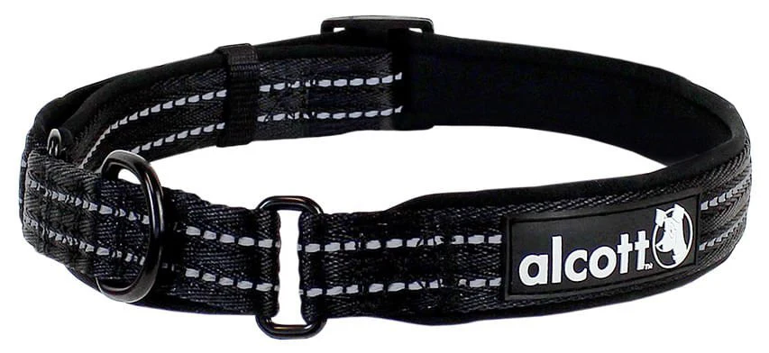 alcott Martingale Collar for Dogs - Image 10