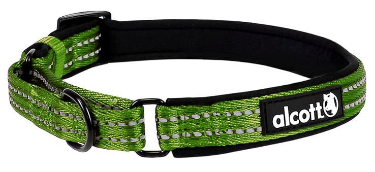 alcott Martingale Collar for Dogs - Image 5