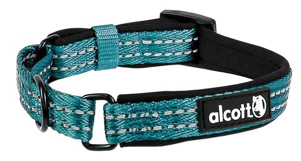 alcott Martingale Collar for Dogs - Image 6