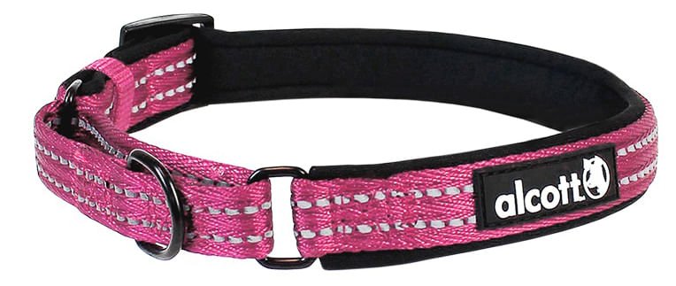 alcott Martingale Collar for Dogs - Image 9