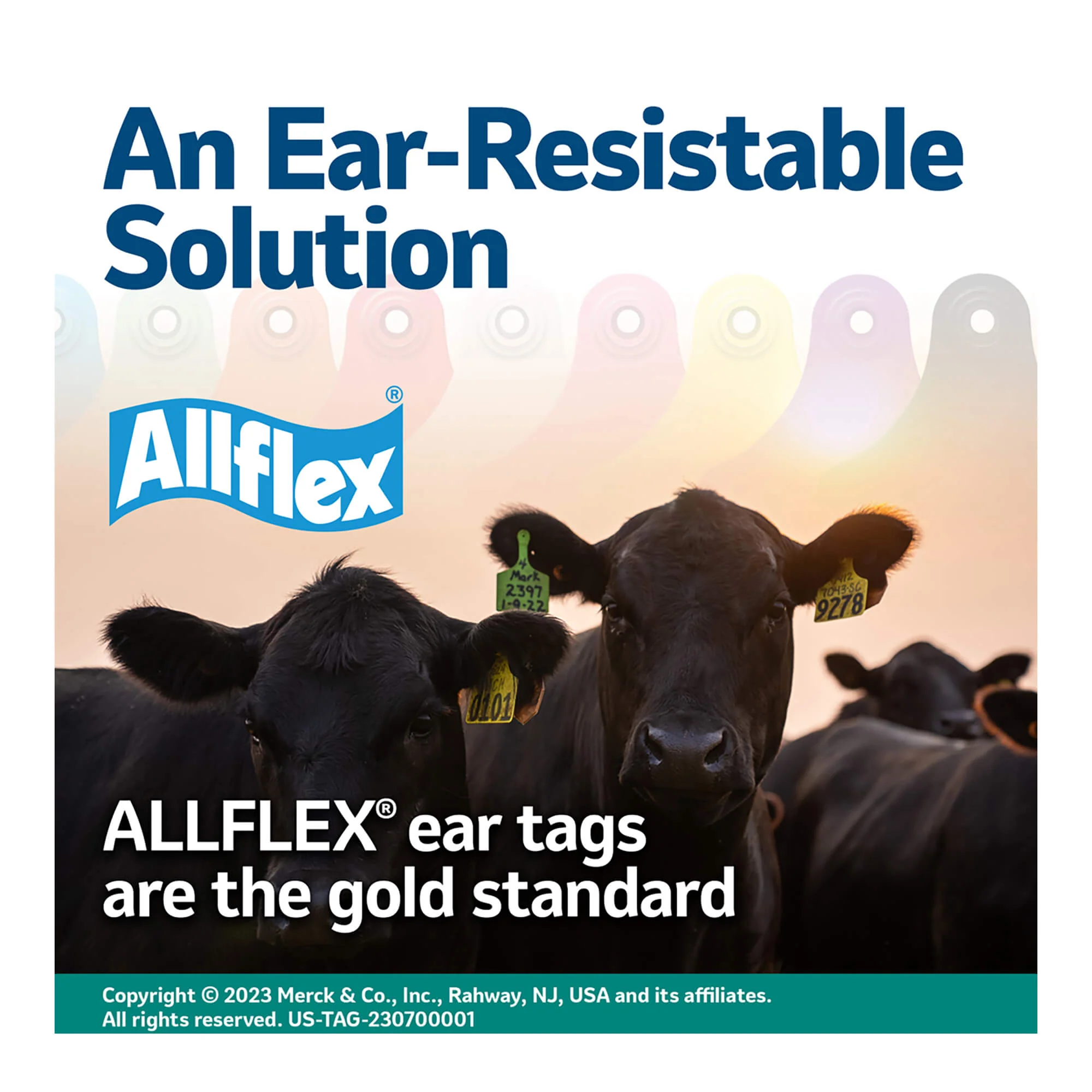 ALLFLEX Safety Ear Tag Removal Tool-Knife - Image 2