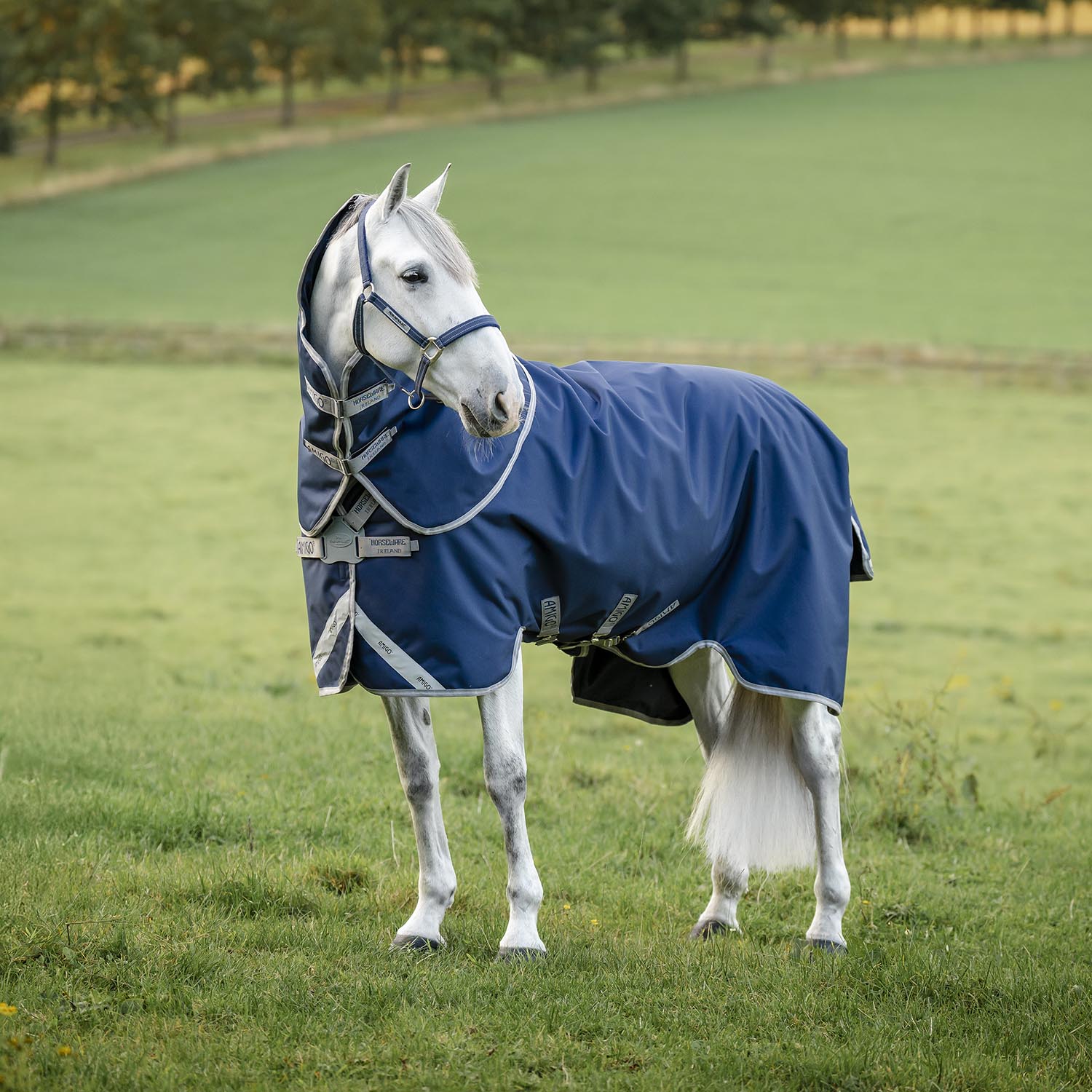 Amigo 1200D FieldSafe Plus Horse Turnout Blanket - Safety Surcingles, Reflective Strips & 250g Insulation