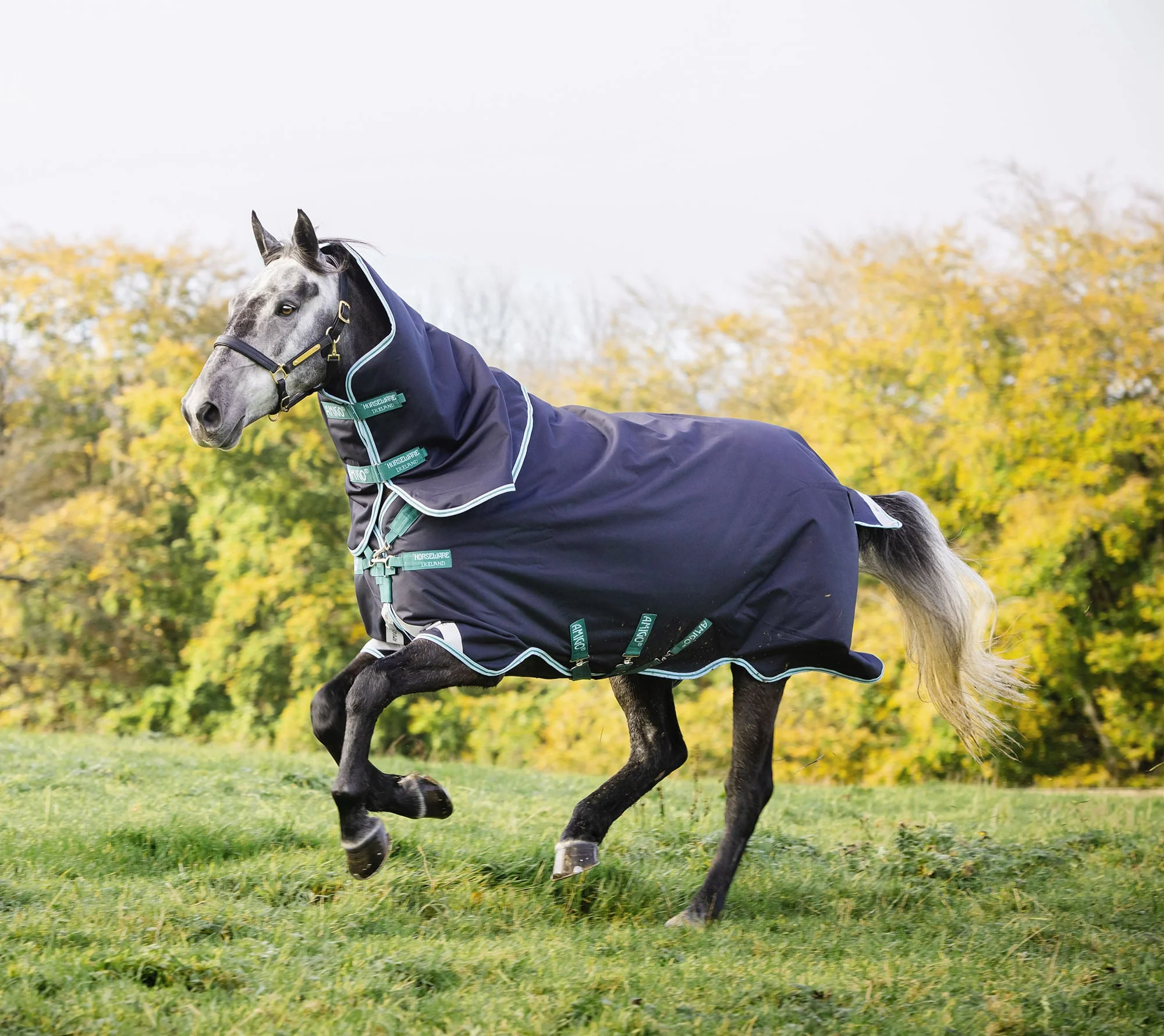 Amigo Bravo 12 Plus Horse Turnout Blanket 250g, Waterproof Medium Weight with Detachable Hood, 1200D Durable Outer - Image 6