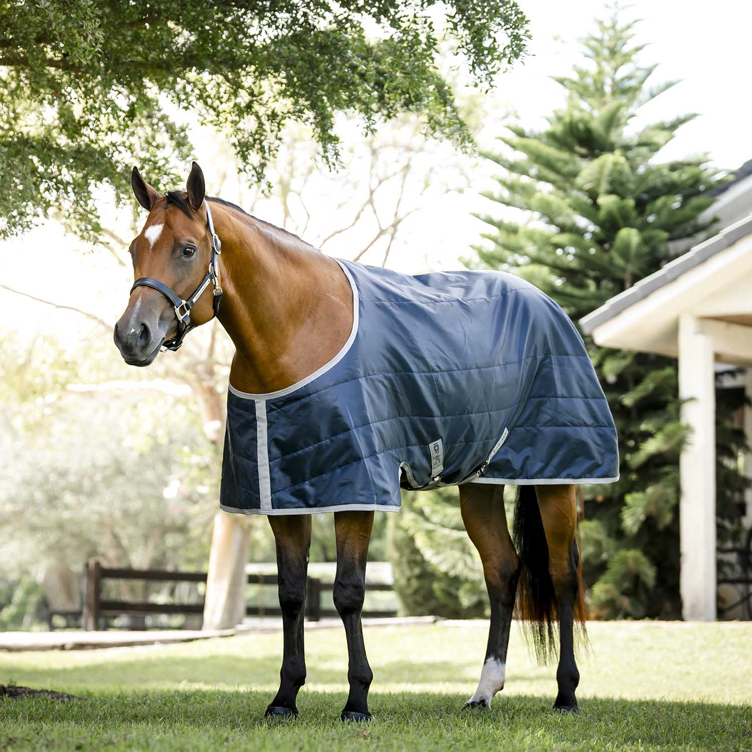 Amigo Ionic Therapy Quarter Horse Stable Blanket - 210D, 50g Lightweight, Far Infrared Recovery Rug
