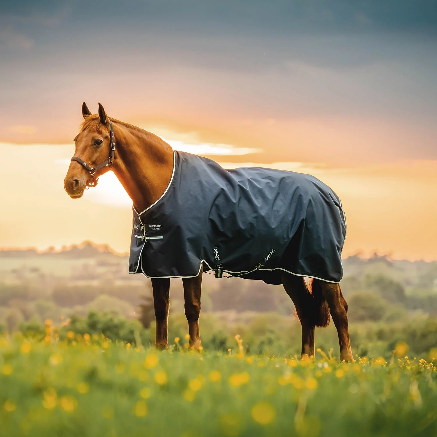 Amigo Ripstop 900D, 200g Turnout Blanket - Waterproof, Breathable Midweight Horse Rug