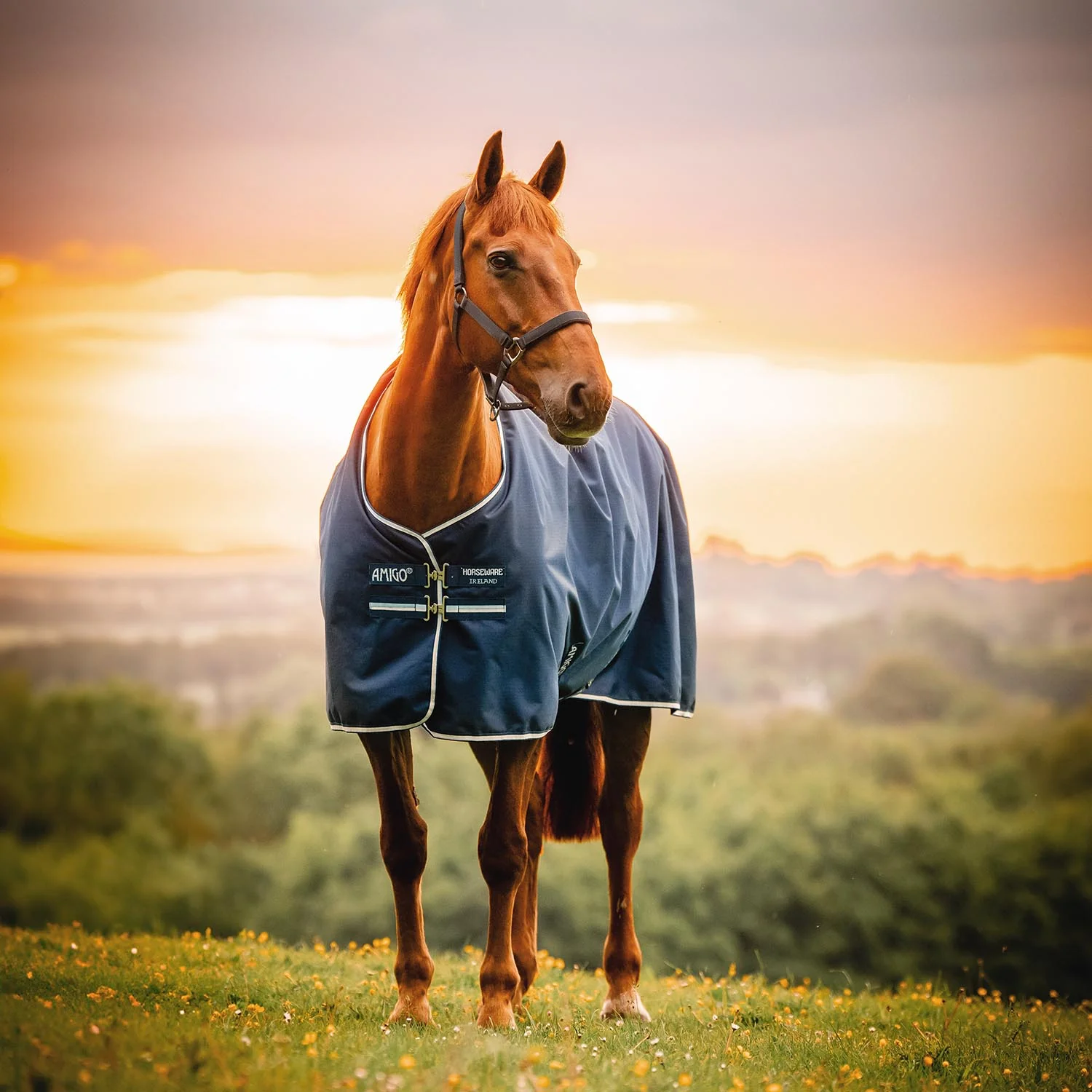 Amigo Ripstop 900D Fleece Lined Turnout Blanket - 50g Lightweight & Waterproof