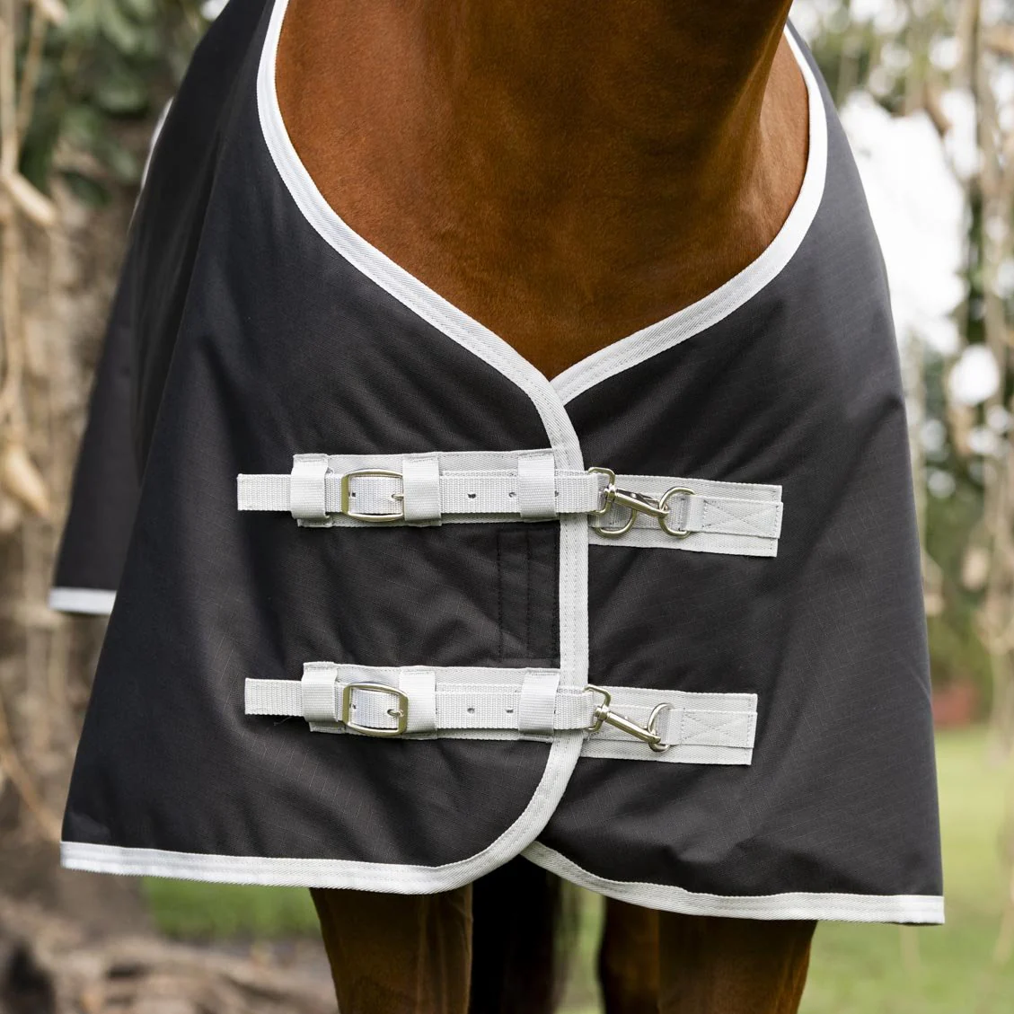 Amigo Ripstop 900D Quarter Horse Plus Turnout Blanket - 200g Medium Weight, Waterproof with Detachable Hood - Image 2