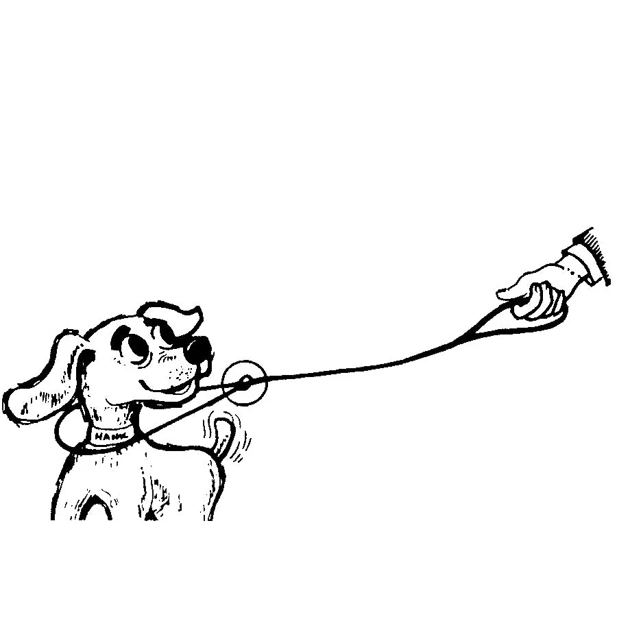 Jeffers Animal Control Slip Dog Lead, Braided Poly, 6'L - Image 5