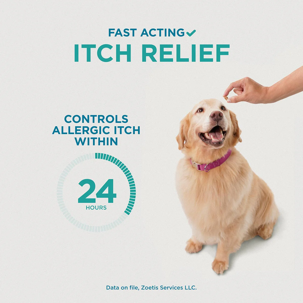 Rx Apoquel (oclacitinib) Chewable Tablets for Dogs - Image 7