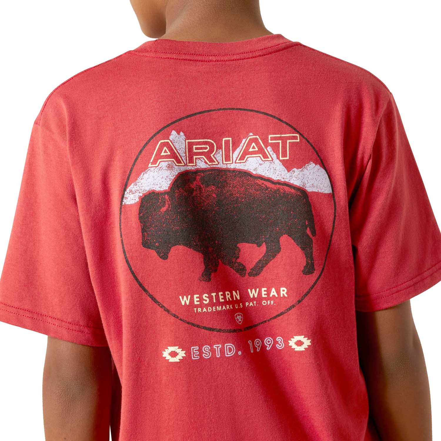Ariat Boys Short Sleeve Tee - Image 4