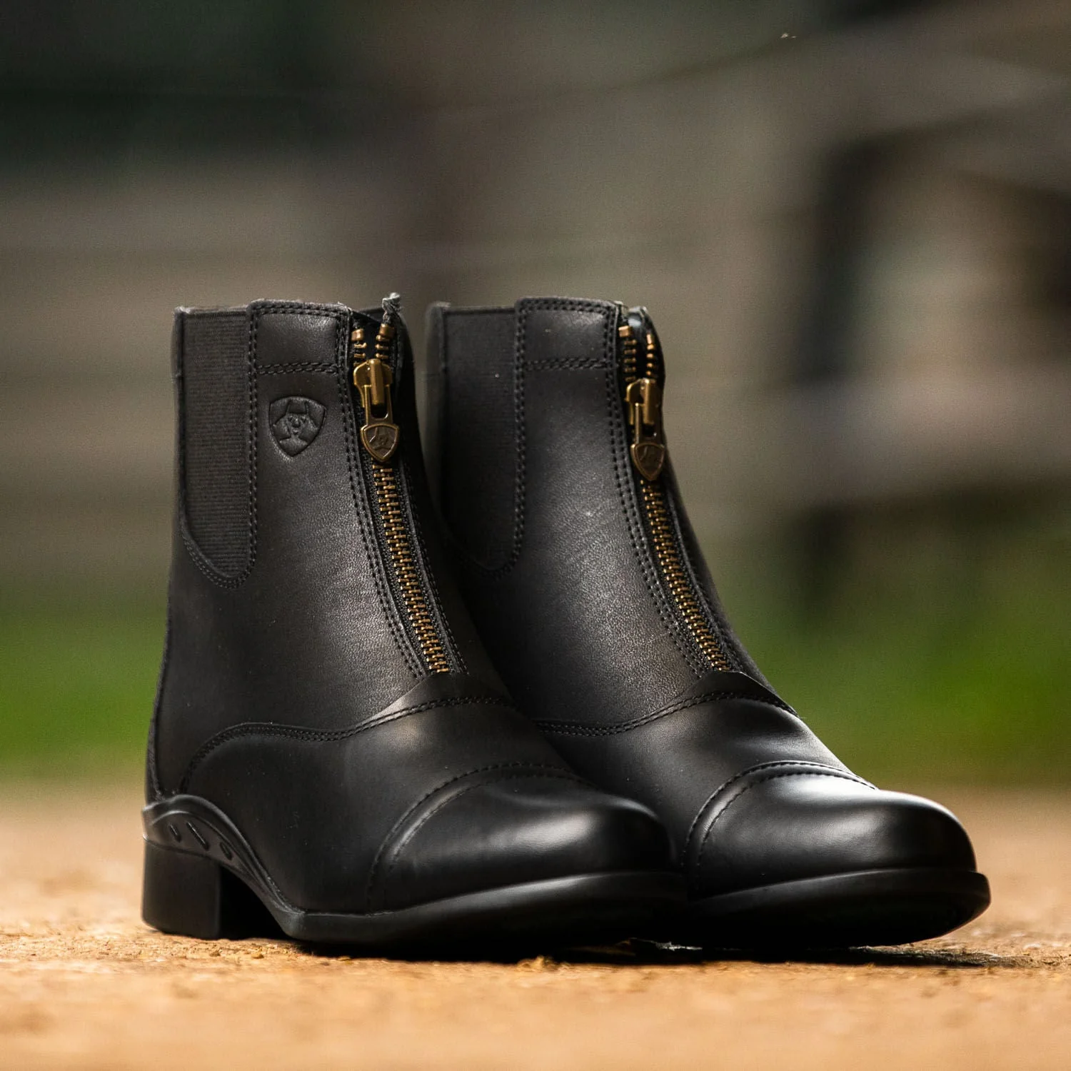 Ariat Scout Zip Paddock Boot, Adult, Black - Image 6