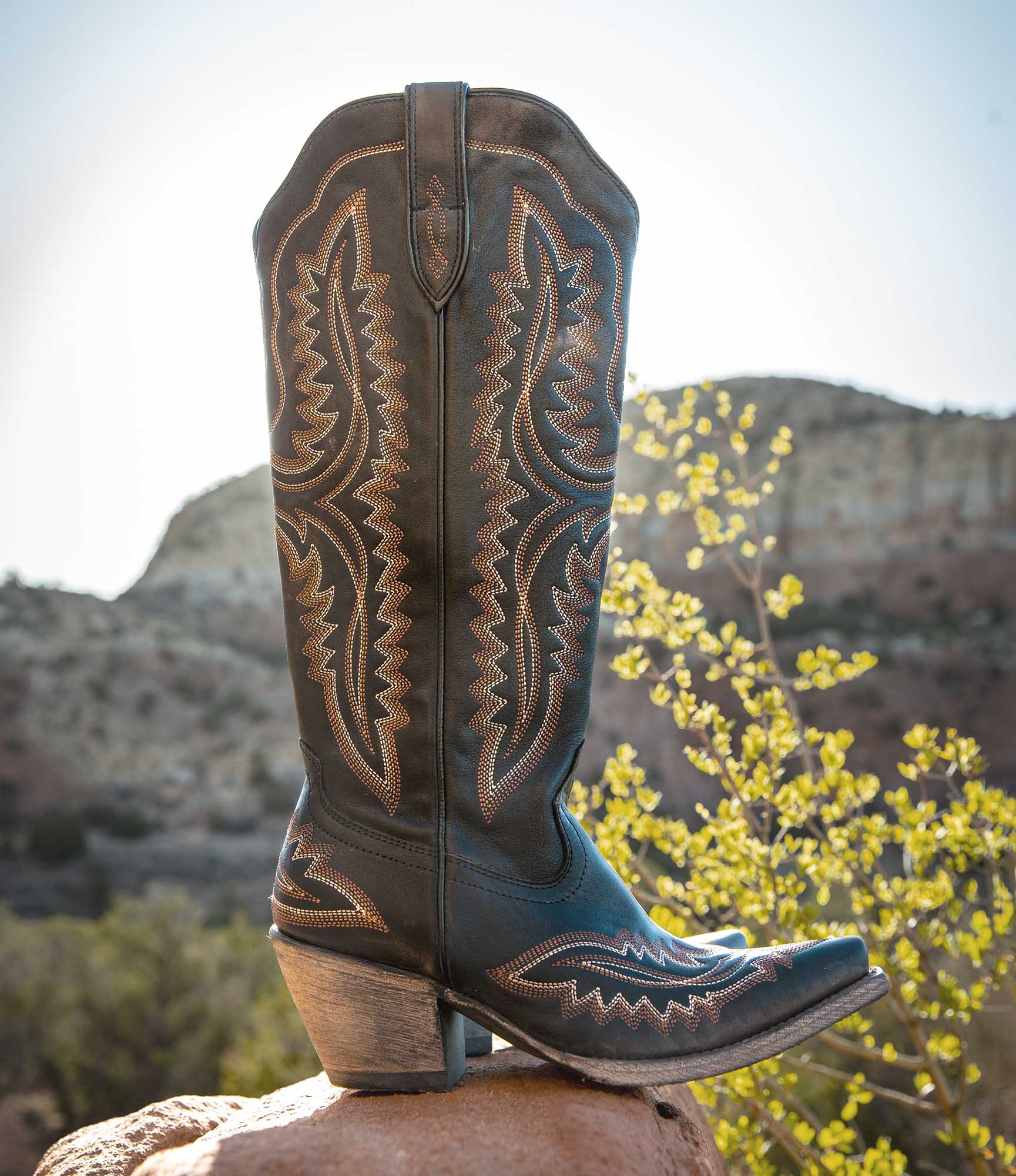 Ariat Women's Casanova Western Boot, Brooklyn Black - Image 32