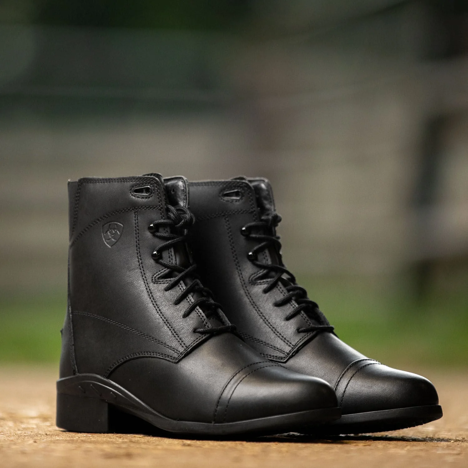 Ariat Women's Scout Laced Paddock Boot, Black - Image 14
