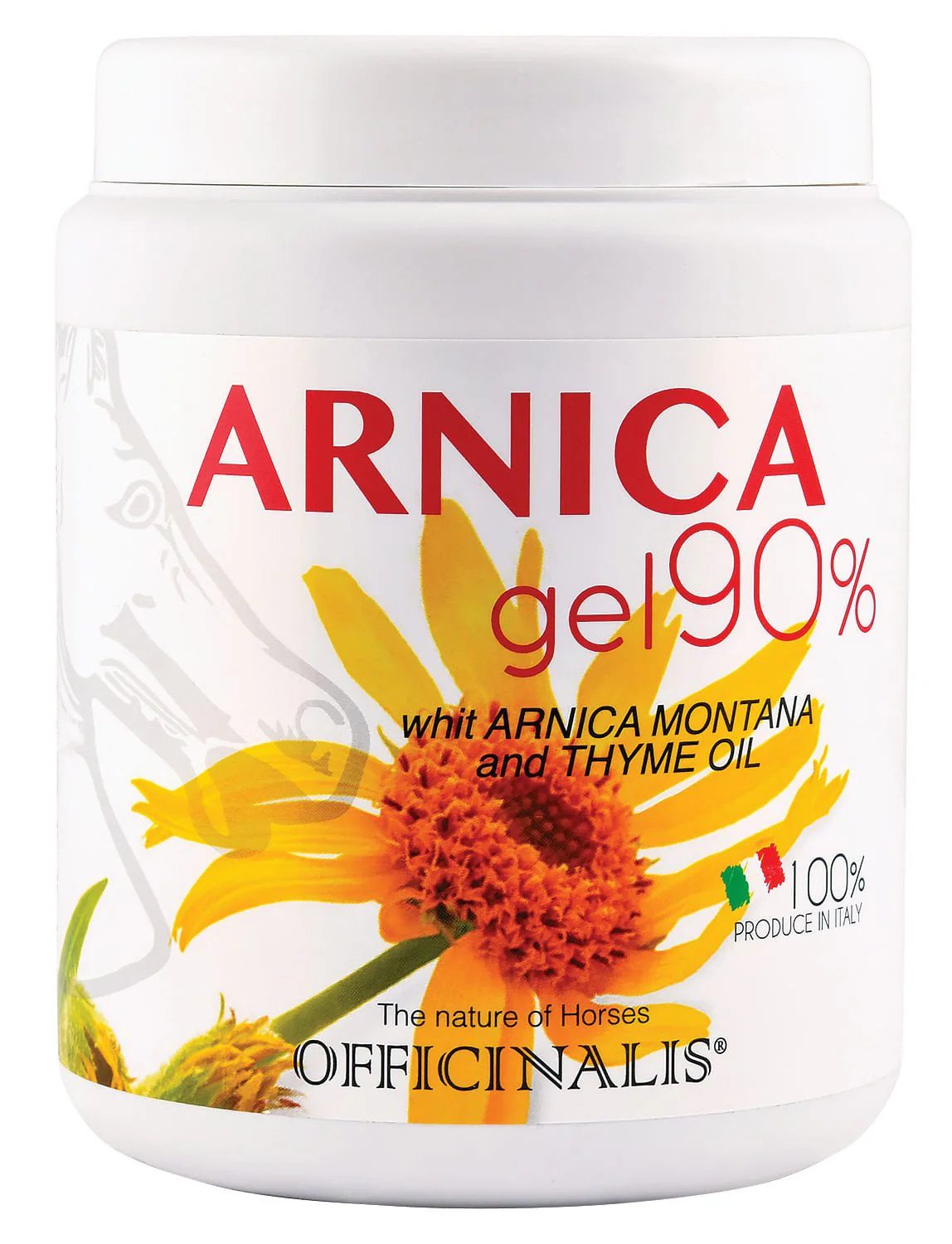 Arnica Gel (90%) - Image 7
