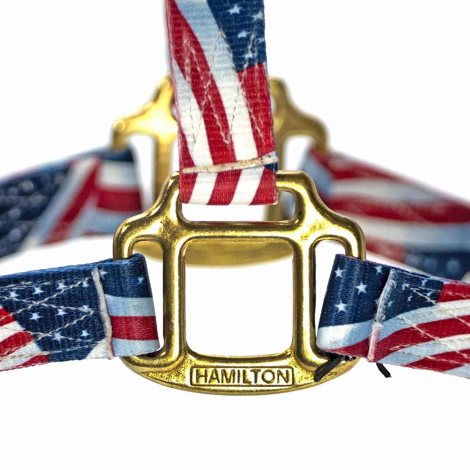 Patriotic Flag Foal Horse Halter – 3/4" Adjustable Nylon Halter - Image 4