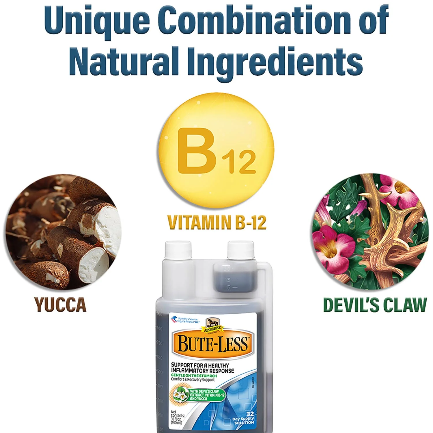 Absorbine BUTE-LESS Comfort and Recovery Supplement Solution - Image 3