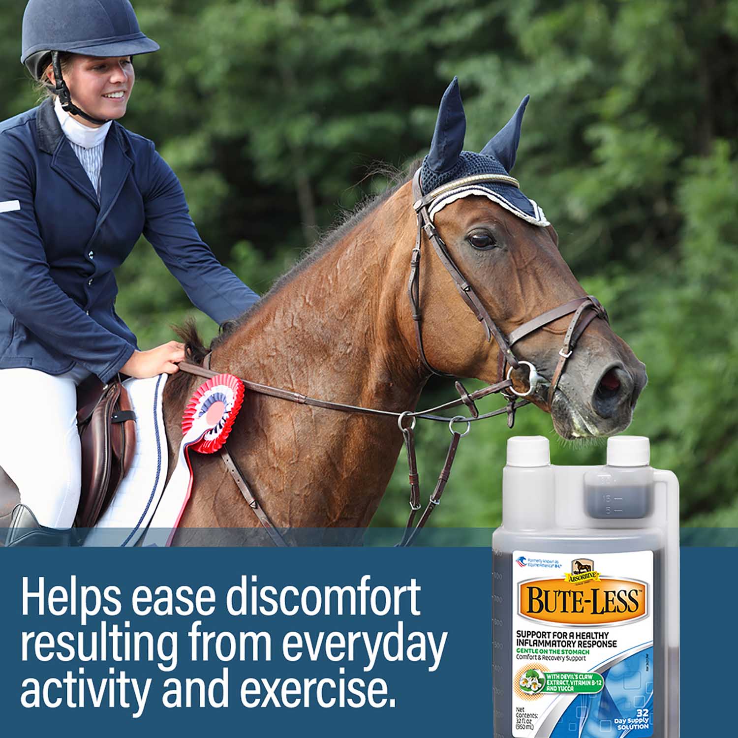 Absorbine BUTE-LESS Comfort and Recovery Supplement Solution - Image 4