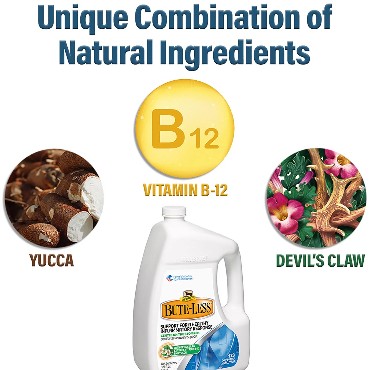 Absorbine BUTE-LESS Comfort and Recovery Supplement Solution - Image 7