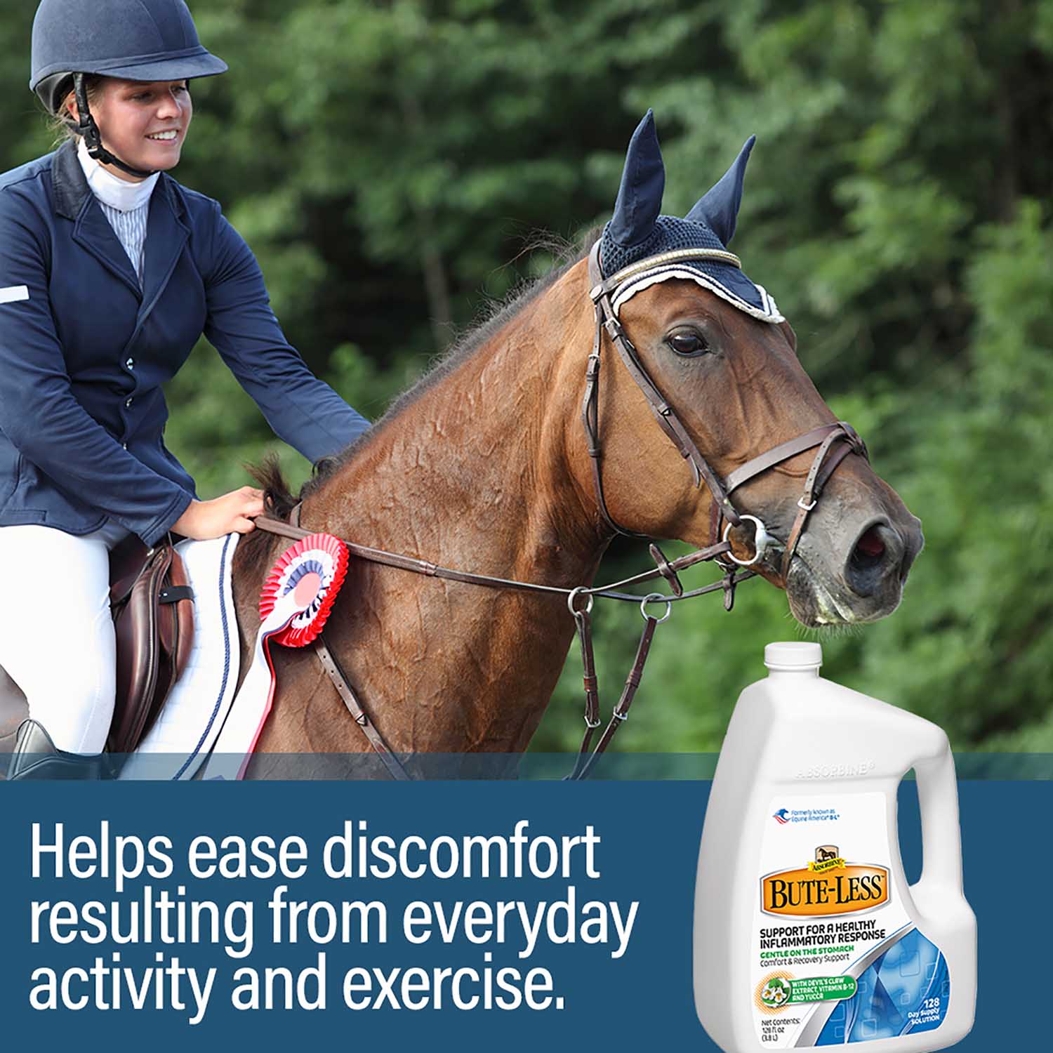 Absorbine BUTE-LESS Comfort and Recovery Supplement Solution - Image 8