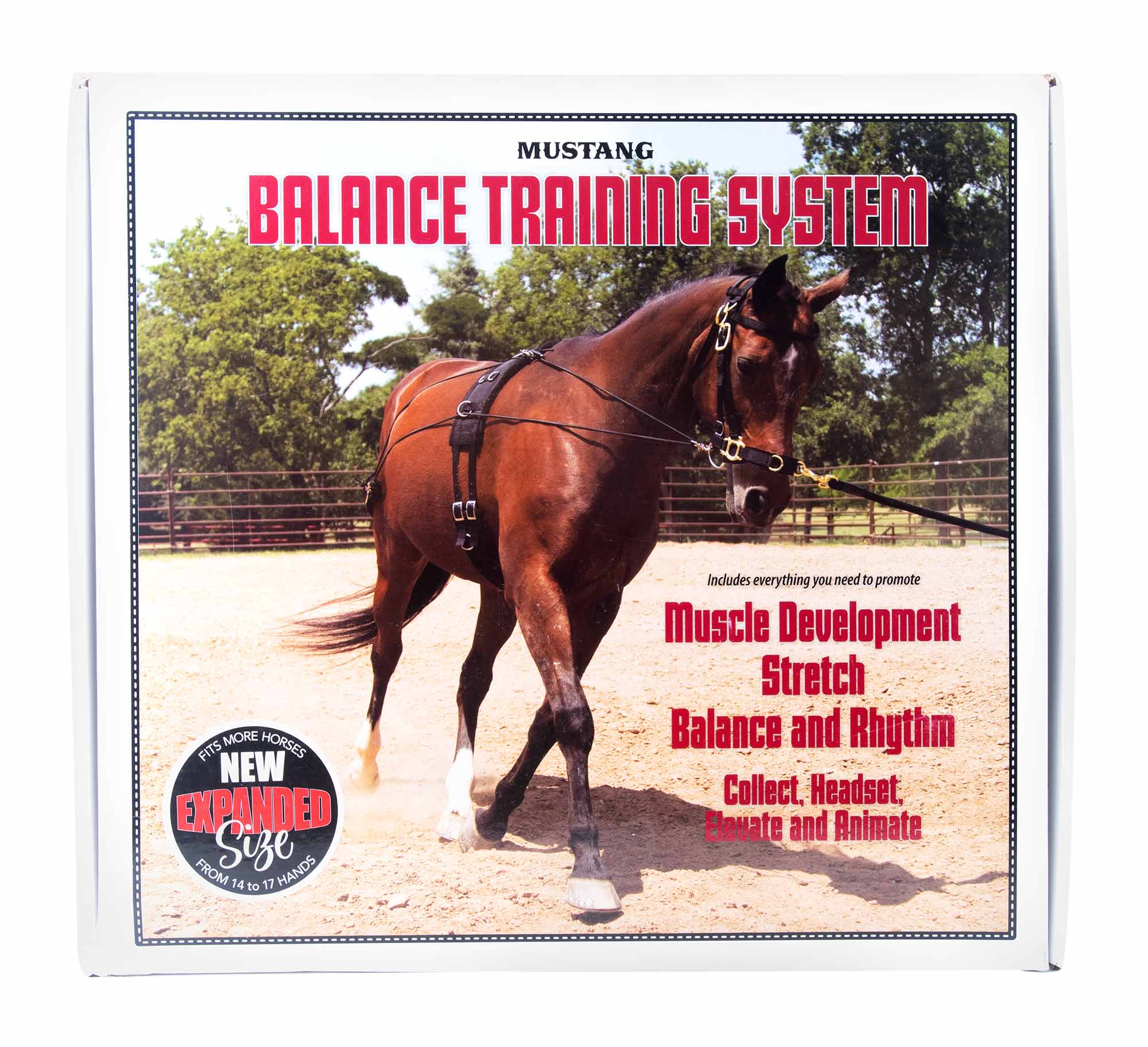 Balanced Training Set - Image 2
