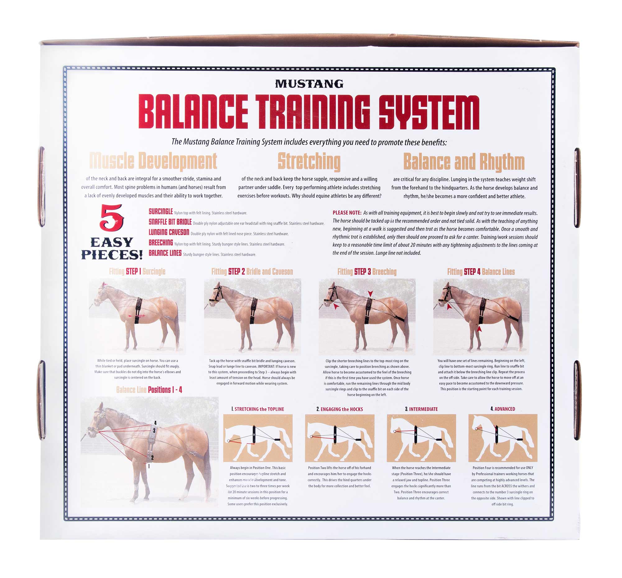 Balanced Training Set - Image 3