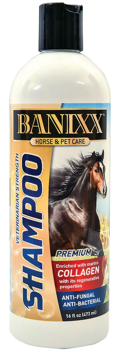 Banixx Veterinary Strength Shampoo for Horses and Dogs