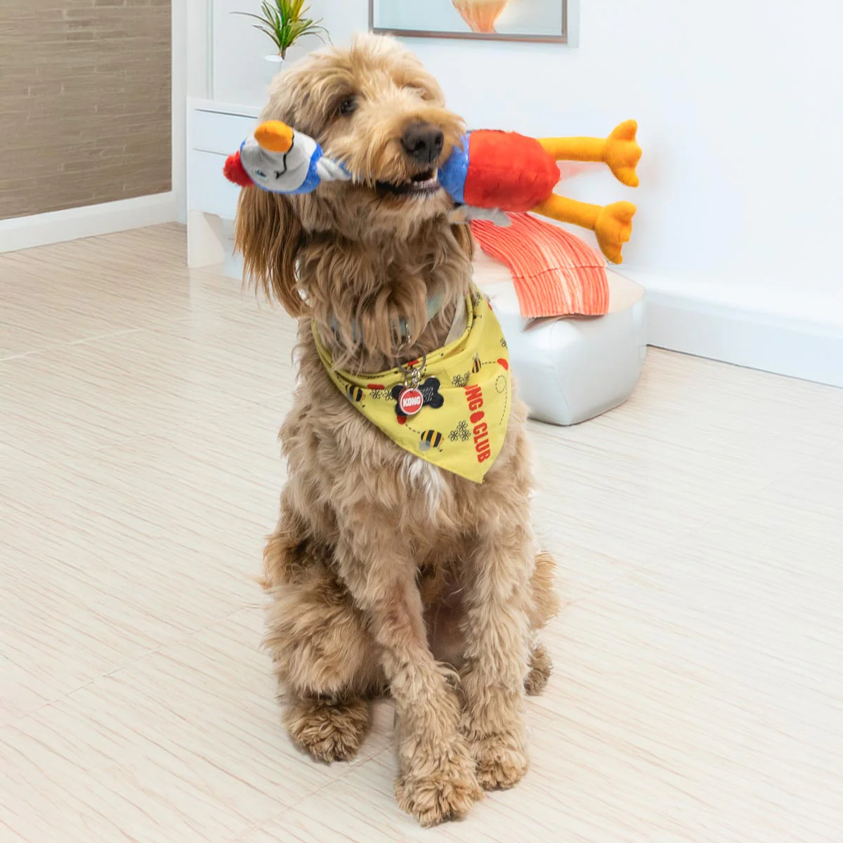 KONG Bendeez™ Plush Dog Toy with Flexible Rope Core & Squeaker - Image 19