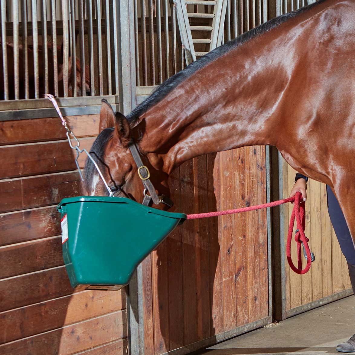 The Better Bucket – 2.5 & 5 Gallon Horse and Cattle Feeder, Ergonomic Feed - Image 6