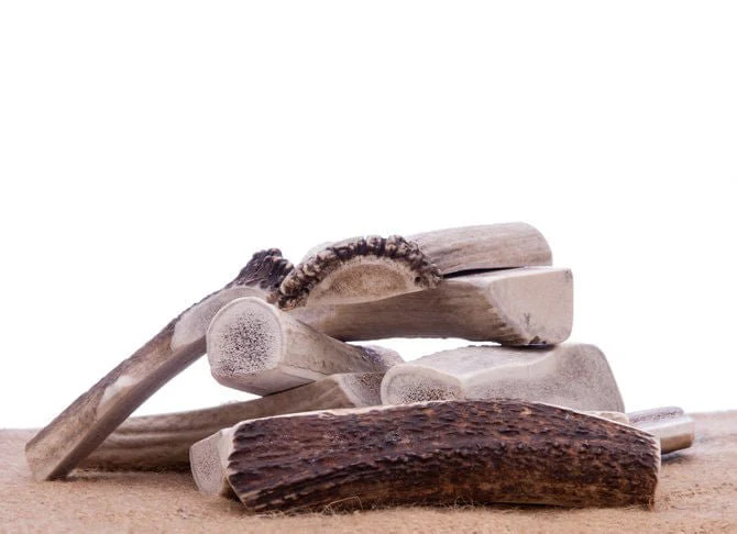 Big Sky Antler Chews, Splits - Image 3