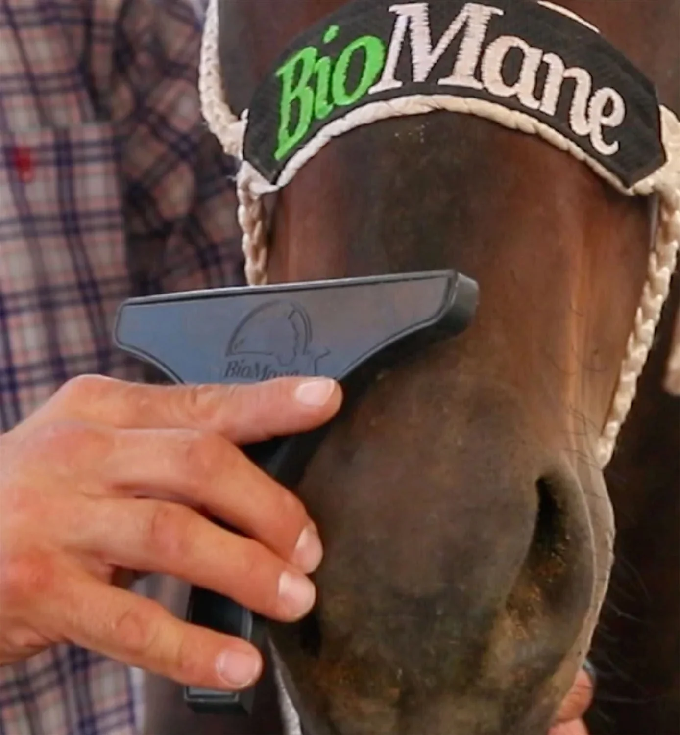 BioMane Horse Grooming Tool - Image 4