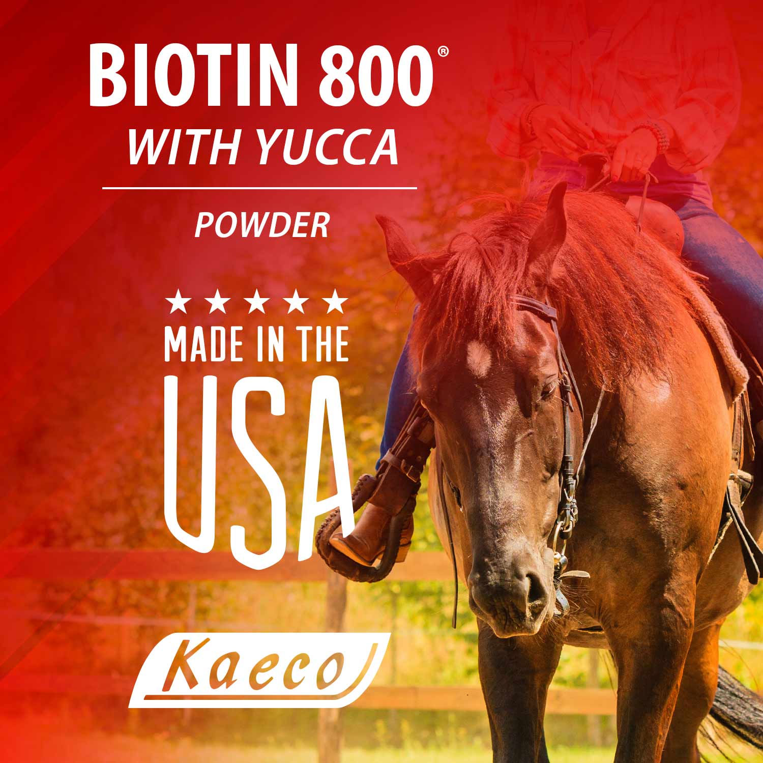Biotin 800 Powder with Yucca Equine Supplement - Image 5
